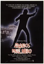 Poster do filme Caught in Fear