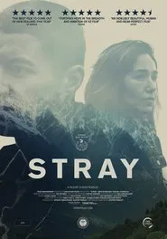 Stray movie poster
