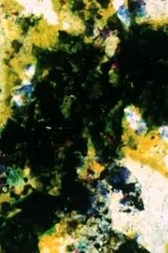 Enfouissement – fossile (Effacement – disparition) movie poster