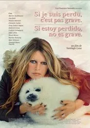 It’s Alright If I’m Lost movie poster