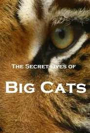 The Secret Lives Of Big Cats tv show poster