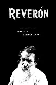 Poster do filme Reverón