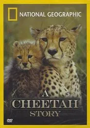 Poster do filme Cheetah Story