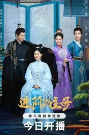 Wise Woman tv show poster