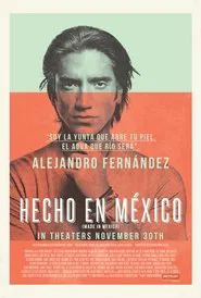 Made in Mexico movie poster