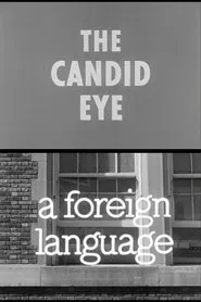 Poster do filme A Foreign Language