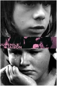 Juvenile Liaison movie poster