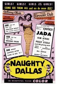 Naughty Dallas movie poster