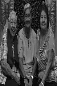 Three Parallel Reflections on the Past movie poster