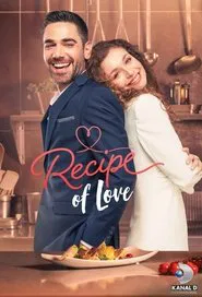 Recipe of Love tv show poster