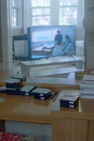 Poster do filme Postpartum Film