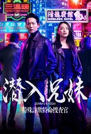 Sibling Intrusion tv show poster