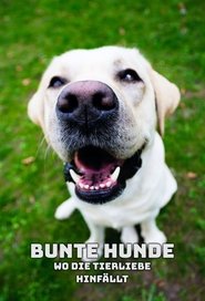 Bunte Hunde – Wo die Tierliebe hinfällt tv show poster
