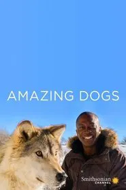 Amazing Dogs tv show poster