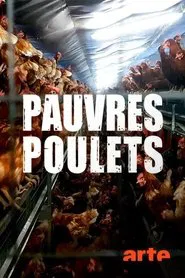 Armes Huhn – armer Mensch movie poster