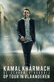 De schaamte voorbij movie poster