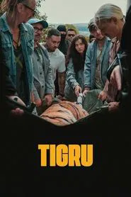 Poster do filme Day of the Tiger
