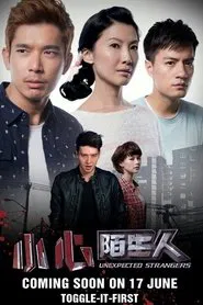 Unexpected Strangers movie poster