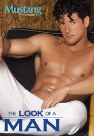 The Look Of A Man movie poster