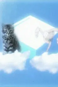 Le Chat De Shrodinger movie poster