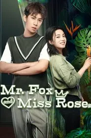 Poster da série Mr. Fox and Miss Rose