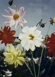 Spring Comes to Kashmir movie poster