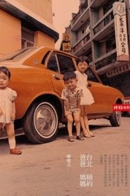 Taipei Dad, New York Mom (Unfinished) movie poster