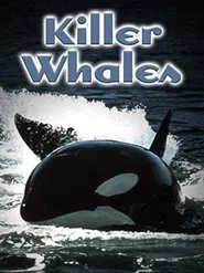 Killer Whales: Up Close and Personal movie poster