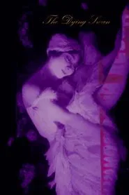 Poster do filme The Dying Swan