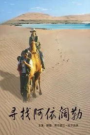寻找阿依阔勒 movie poster