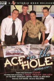 Poster do filme Ace in the Hole: Working Stiff 2