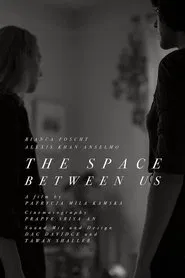 The Space Between Us movie poster