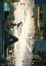 The Pigeon movie poster
