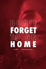 Don't Forget to Go Home movie poster