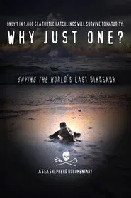 Poster do filme Why Just One?
