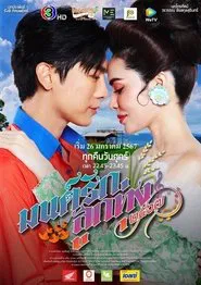 Falling in love tv show poster
