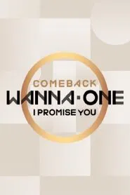 워너원 COMEBACK tv show poster