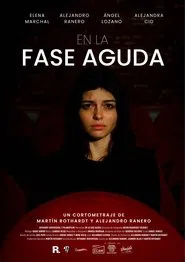 At the Crucial Phase movie poster