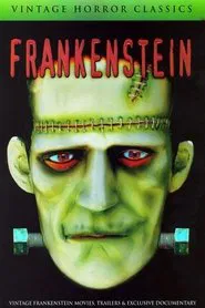 Mary Shelley's Frankenstein - A Documentary movie poster
