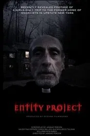 Entity Project movie poster