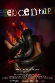 Eccentrip movie poster