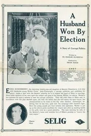Poster do filme A Husband Won by Election