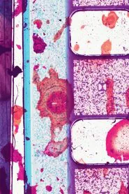 NE Corridor movie poster