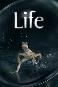 Poster da série Vida