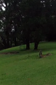 Green Mountain, Heaven Mountain movie poster