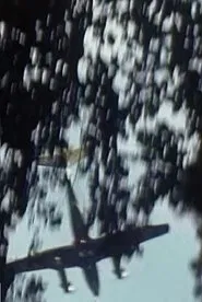 Flugzeuge II movie poster