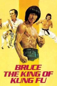 Poster do filme Bruce, King of Kung Fu