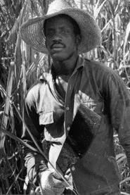 Poster do filme Susan After the Sugar Harvest