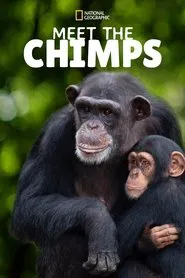 Meet the Chimps tv show poster