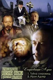 The Adventures of Sherlock Holmes and Dr. Watson: The Treasures of Agra tv show poster